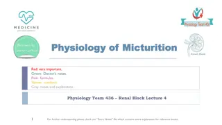 The Physiology of Micturition: Bladder Function and Control Mechanisms