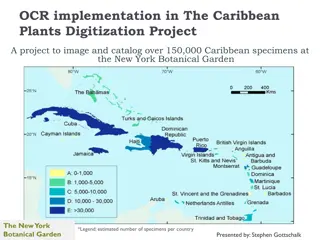 Digitization Project for Caribbean Plants at New York Botanical Garden