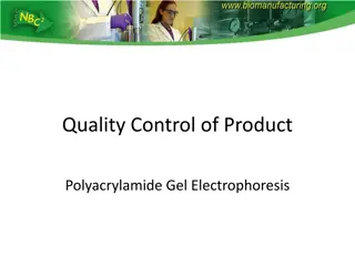 Quality Control and Electrophoresis Techniques