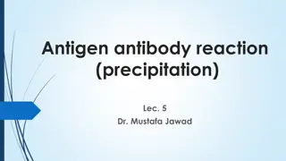 Antigen-Antibody Precipitation Reaction in Immunity