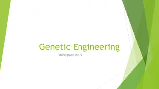 Gel Electrophoresis in Genetic Engineering: Principles and Types