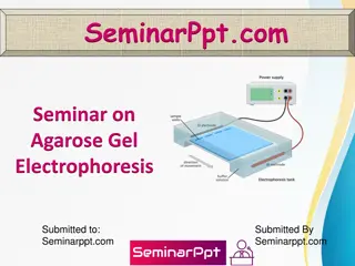 Agarose Gel Electrophoresis: A Comprehensive Overview