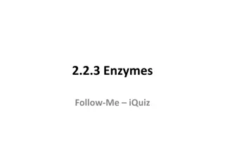 Understanding Metabolism: Enzymes and ATP