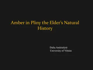 Exploring the Value and Use of Amber in Pliny the Elder's Natural History