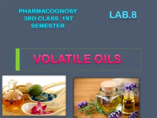 Understanding Volatile Oils in Pharmacognosy: Properties, Uses, and Applications