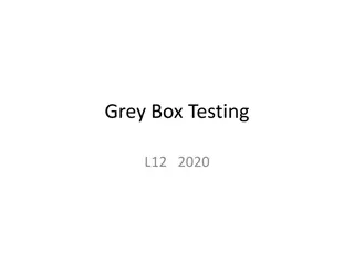 Gray Box Testing in Software Development