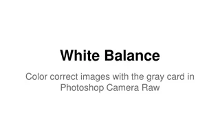 Gray Card White Balance Tutorial in Photoshop Camera Raw