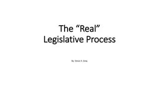 Navigating the Legislative Process: Insights and Strategies