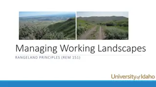 Effective Strategies for Managing Working Landscapes: Challenges and Approaches