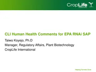 Safety and Efficacy of RNA in Human Diet and Agricultural Crops