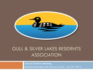 Gull & Silver Lakes Residents Association Annual General Meeting 2017 Update