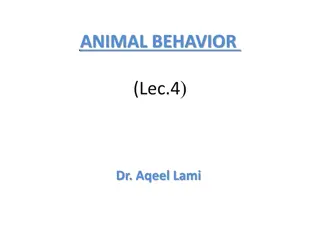 Insights into Animal Behavior and Hormones