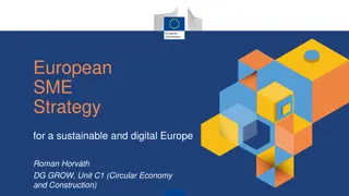 European SME Strategy for a Sustainable and Digital Europe