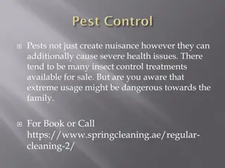 Importance of Safe Pest Control and Household Cleaning Practices