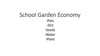 Sustainable School Garden Economy Initiative