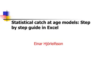 Step-by-Step Guide to Statistical Catch-at-Age Models in Excel