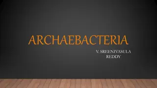 Understanding Archaebacteria: A Brief Overview