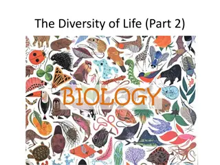 Exploring the Diversity of Life: A Journey through Different Domains and Kingdoms