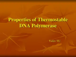 Overview of Thermostable DNA Polymerases and Their Properties