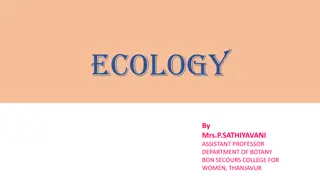 Ecology: Key Concepts and Types Explained