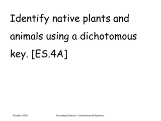 Ecosystem Dynamics: Environmental Systems Study