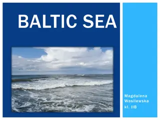 Explore the Wonders of the Baltic Sea