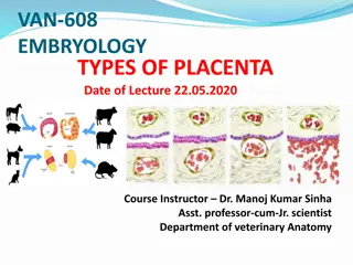 Types of Placenta in Embryology: Classification and Structure