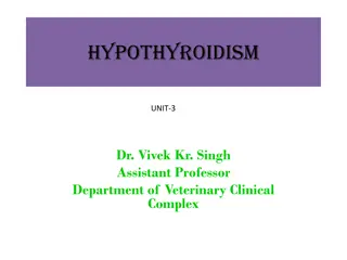 Hypothyroidism in Dogs: Causes, Clinical Signs, and Diagnosis