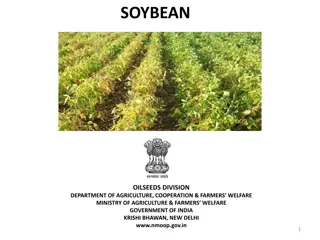 Comprehensive Overview of Soybean Cultivation in India