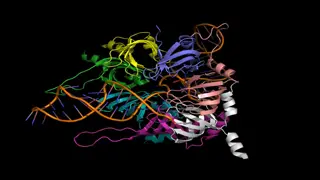 Splice Sites and Splicing Elements in the Inhibitory Dopamine Receptor Gene (D2)