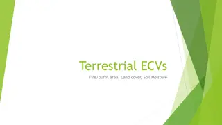 Terrestrial ECVs: Fire, Land Cover, Soil Moisture Overview