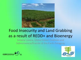 Impacts of REDD+ and Bioenergy on Food Security and Land Grabbing