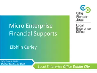 Financial Support and Grants for Dublin City Micro-enterprises