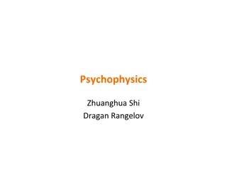 Psychophysical Methods in Cognitive Neuroscience