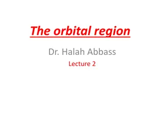 The Orbital Region: An Overview