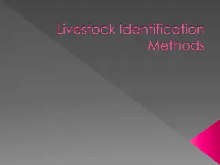 Livestock Identification Methods: Exploring Different Techniques