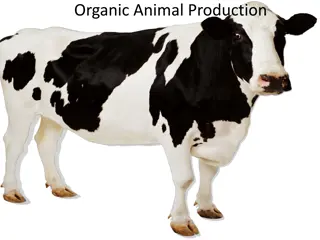 Organic Animal Production in the US: Insights and Statistics