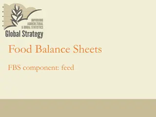 Food Balance Sheets: Data Sources and Imputation