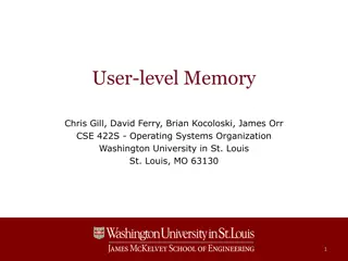 Understanding User-Level Memory and Virtual Memory Organization in Operating Systems