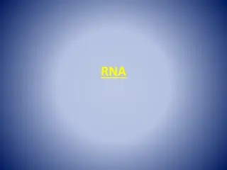 RNA and Protein Synthesis Processes