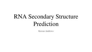 Insights into RNA Secondary Structure Prediction by Kieran Andrews