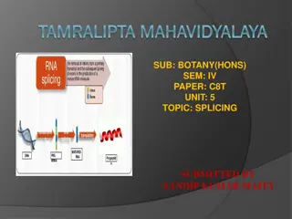 Understanding the Splicing Process in Botany: Mechanism and Types