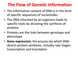 Understanding the Flow of Genetic Information