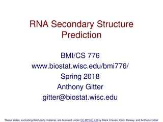 Exploring RNA Secondary Structure Prediction in Bioinformatics