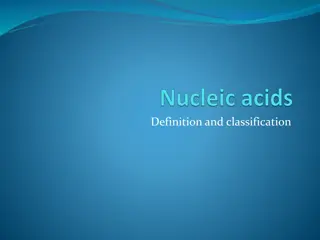 Understanding Nucleic Acids and RNA Molecules