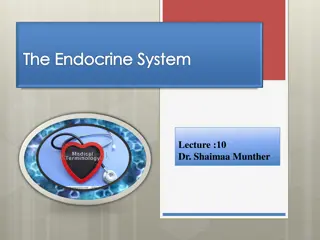 The Endocrine System: Key Concepts and Functions