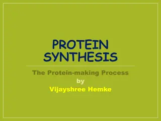 Understanding Protein Synthesis Process