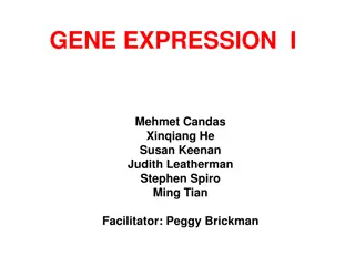 Mechanisms of Gene Regulation Through RNA Interference