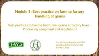 Best Practices for Handling Grains at the Factory Level