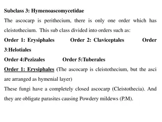 Fungal Classification and Reproduction in Hymenoascomycetidae Subclass